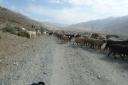 heading for the kargush pass - pamir, tajikistan