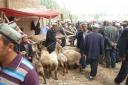 lifestock market kashgar