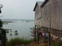 mekong river - cambodia